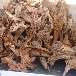 Kayu Rentek Size M