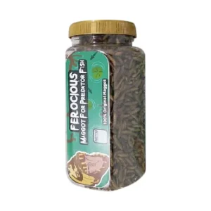 Magot Kering Ferocious 250 mg